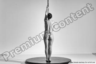 poledance reference 03 31